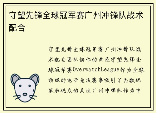 守望先锋全球冠军赛广州冲锋队战术配合