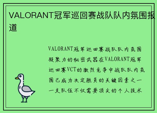 VALORANT冠军巡回赛战队队内氛围报道